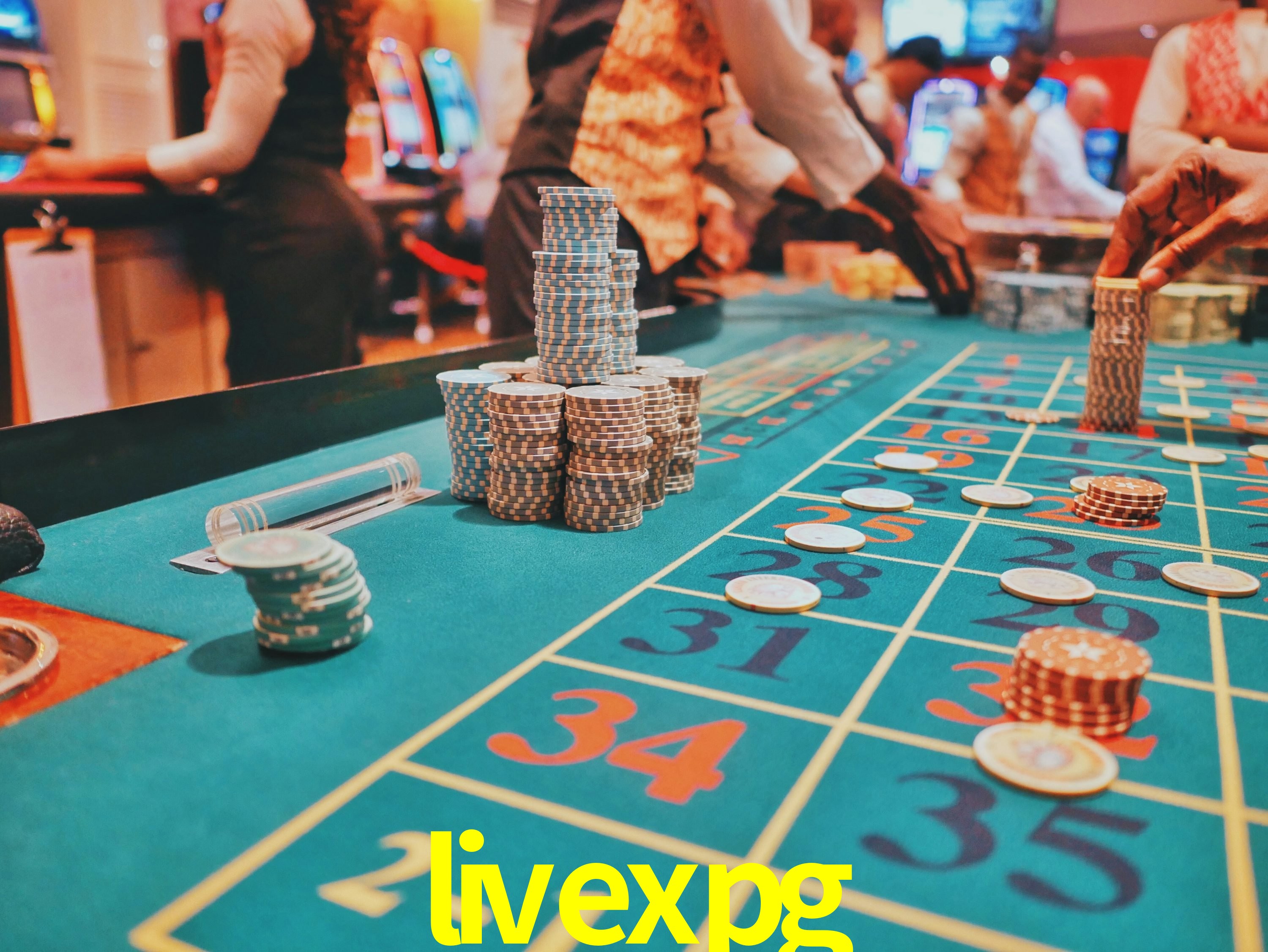 A Emoção da Loteria na livexpg: Uma Chance de Mudança de Vida